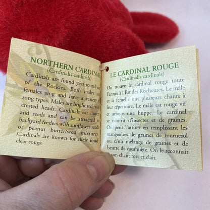 Audubon Northern Cardinal Sound Decor – 4×5