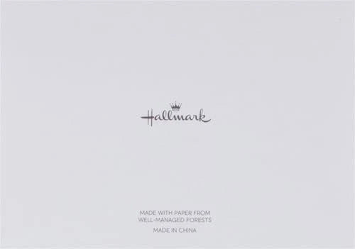 Hallmark Silver Foil Thank You Notes – 40 Pack