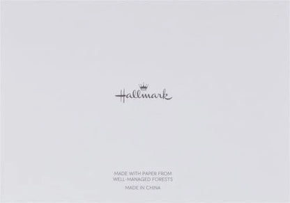 Hallmark Silver Foil Thank You Notes – 40 Pack